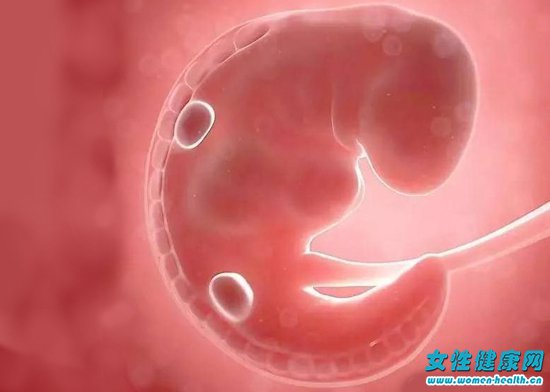 怀孕后胚胎停止发育是怎么回事 胚胎停止发育要流产吗