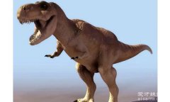 十大最聪明的恐龙是哪几种，霸王龙牙齿尖利/身体庞大