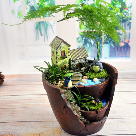 DIY微景观苔藓绿植盆栽