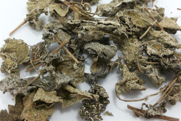 溪黄茶的功效与作用 溪黄茶可以长期喝吗