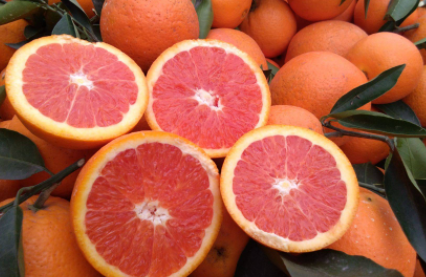 血橙的功效与作用血橙几月份成熟上市