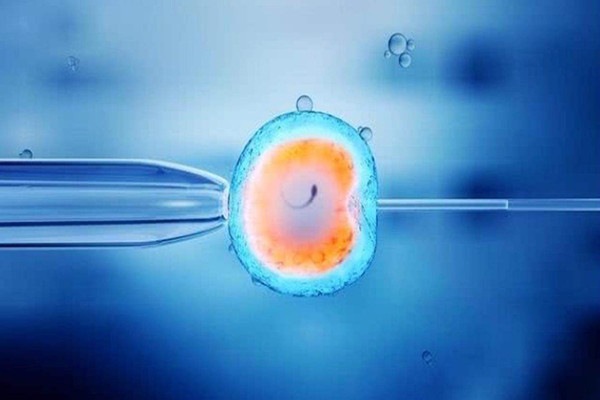供卵试管移植冻胚人工周期