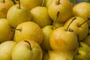 退烧最好的三种水果，苹果/西瓜/雪梨(附6种水果止咳化痰)