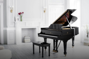 一般钢琴多少钱，普遍在2-10万元(普通家庭钢琴品牌推荐)