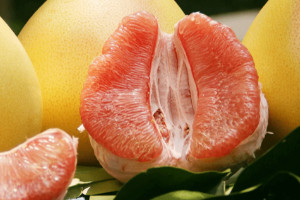 养肺最好水果第一名，柚子/柿子/枇杷/蓝莓保护肺部健康