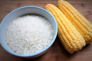 一根玉米相当几碗米饭，半碗饭/玉米更适合减肥期间食用
