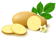 土豆不削皮能吃吗 土豆怎么做好吃又营养