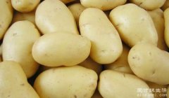 土豆什么时候成熟可以挖，每年的5月7月10月(三个季节)