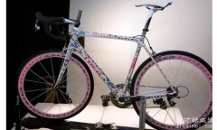 崔克蝴蝶自行车价格3200万是真的吗，是真的(有蝴蝶标本)