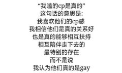 rps在饭圈是什么意思，磕真人cp的意思(在现实中不是情侣)