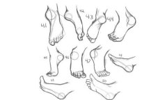 脚的各个部位详细图，脚由七个部位组成(有着很多的神经)
