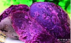 紫薯蒸多久能熟，蒸20分钟能熟(切开后15分钟可以蒸熟)