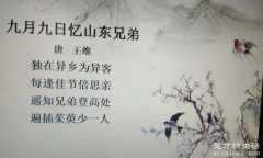 王维最有名的十首诗名句是什么诗，九月九日忆山东兄弟