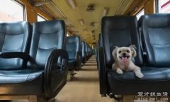 火车可以带宠物吗，可以带宠物(需要办理押运或托运)