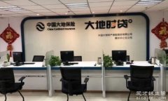 大地保险怎么样，2003年在上海成立(一共有着36家分公司)