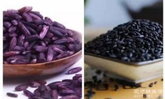 紫米和黑米有什么区别，3大区别(外形/品种/营养价值不同)