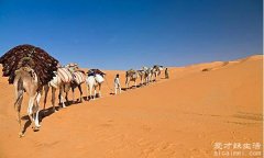 世界上最大的沙漠，撒哈拉沙漠(面积大概有932万平方千米)
