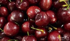 车厘子和樱桃有什么区别? 在品种、产地、外观、口感及营养价值等