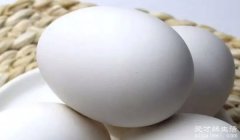 鹅蛋的药用价值 增强体质、提高免疫力
