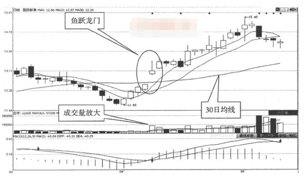 鱼跃龙门