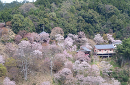 日本奈良旅游小众景点推荐