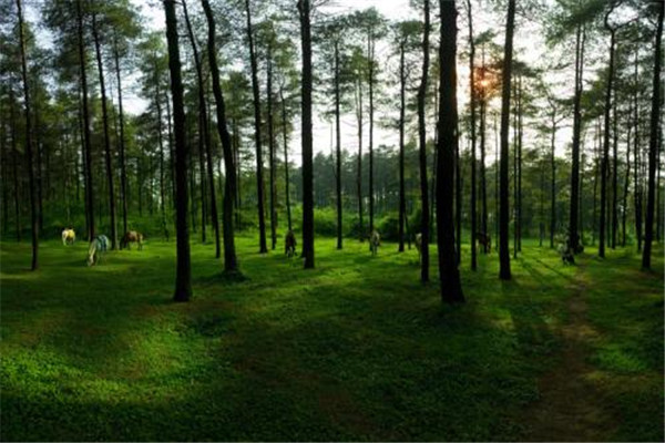 贵阳十大免费景点排行榜