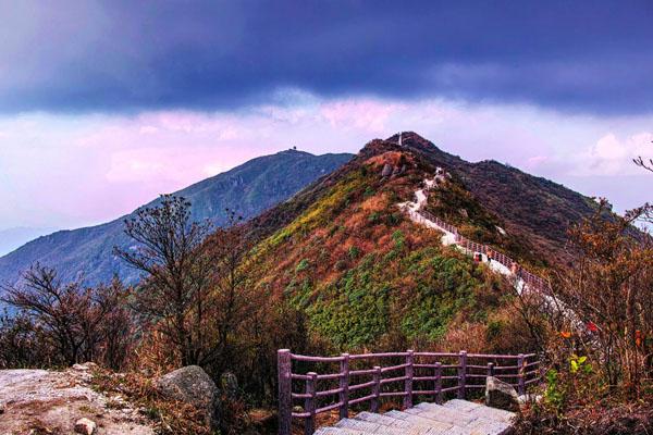 大圍山國家森林公園門票多少錢 門票優惠