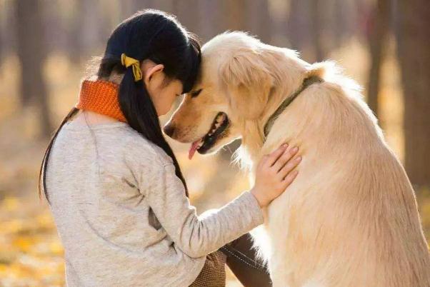 代表建议制定伴侣动物保护管理法 伴侣动物什么意思