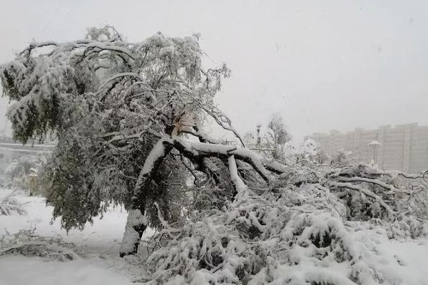 东北暴雪来了 暴雪是气象灾害吗