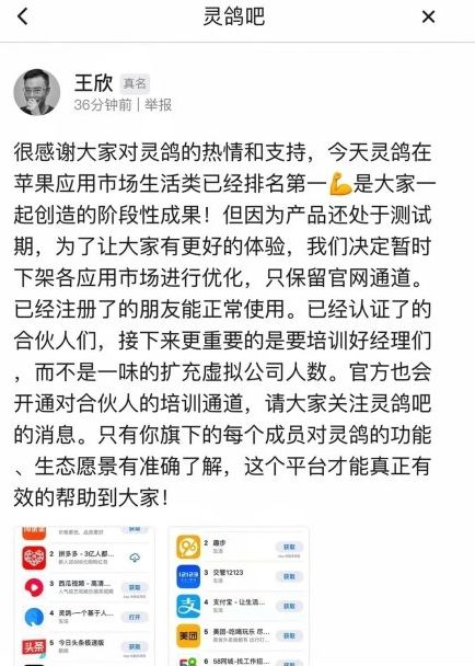 灵鸽APP下架原因 灵鸽APP下架是为什么