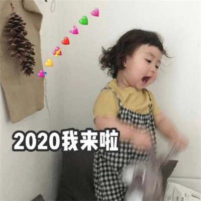 2020可爱搞笑跨年表情包 罗熙新年表情包图片