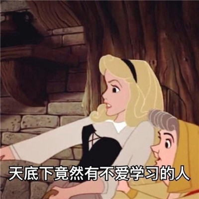 不爱学习的迪士尼公主表情包