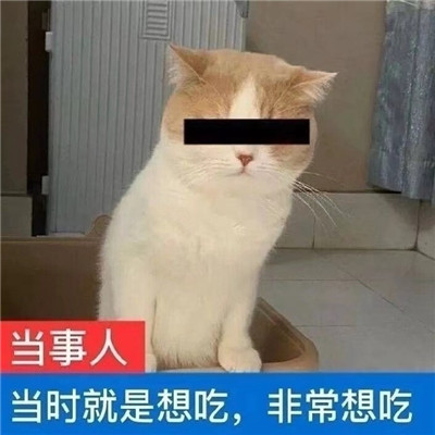 表情包