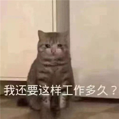 表情包