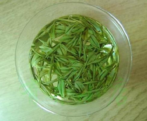 东白春芽什么档次_产自哪里