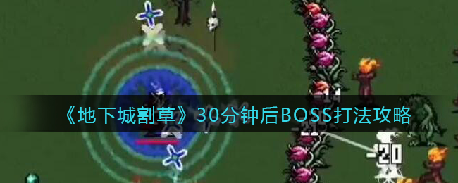 地下城割草30分钟后BOSS打法攻略