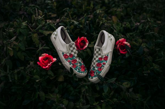 范斯玫瑰刺绣鞋好看吗 Vans Rose Embroidery多少钱