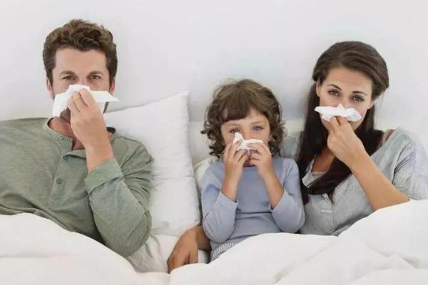 流感是风热还是风寒感冒-流感是病毒还是细菌