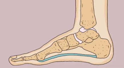 扁平足的危害有哪些 扁平足做什么动作可以改善