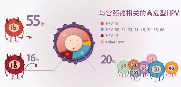 HPV日常接触中会传染吗 HPV的传播途径是什么