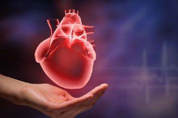 全球首个接受猪心脏移植病患死亡 心脏移植成功率多少