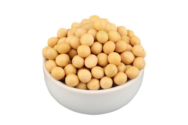 黄豆的蛋白质含量是多少 黄豆的含糖量多少