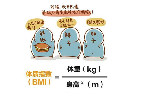 bmi体脂率怎么计算 bmi是什么意思