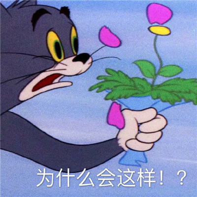 猫和老鼠暴走可爱表情包