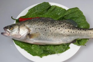 鲈鱼价格多少钱一斤产自哪里 14.5元一斤(产自黄海渤海地区)