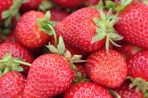 十大减肥水果排行榜 草莓低热量低糖分（吃水果不榨汁）
