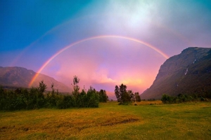 彩虹是怎么形成的 太阳光折射空气小水滴（彩虹是圆形的）