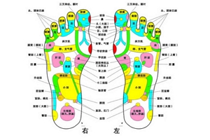 脚底按摩图反射区图片 五个重要反射区（感觉到痛就有效）