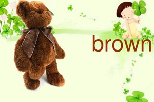 brown是什么颜色 棕色（十六进制颜色码为#A52A2A）