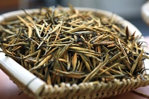 黄金芽属于什么茶 绿茶的一种（中国唯一黄色变异茶叶）
